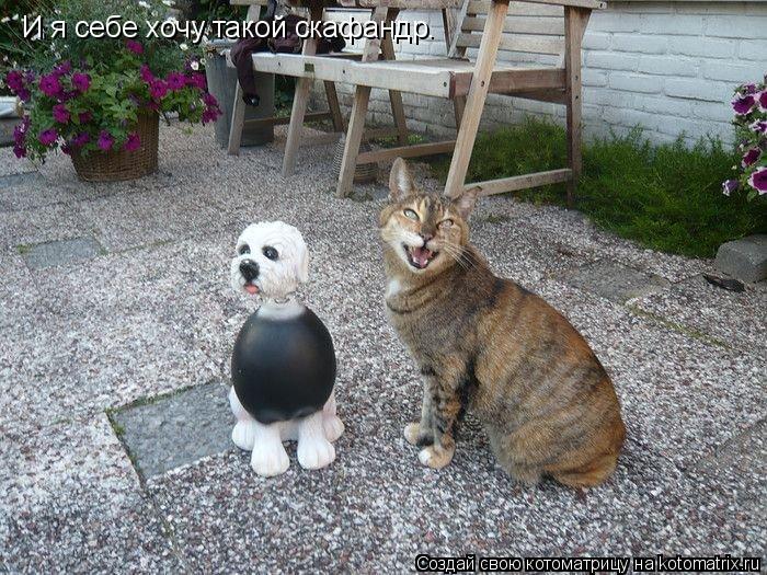 И я себе хочу такой скафандр.... Котоматрица: И я себе хочу такой скафандр.