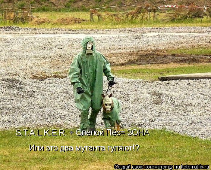 S.T.A.L.K.E.R. + Слепой Пёс= ЗОНА Или это два мутанта гуляют!?... Котоматрица: S.T.A.L.K.E.R. + Слепой Пёс= ЗОНА Или это два мутанта гуляют!?