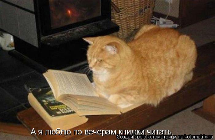 А я люблю по вечерам книжки читать.... Котоматрица: А я люблю по вечерам книжки читать.