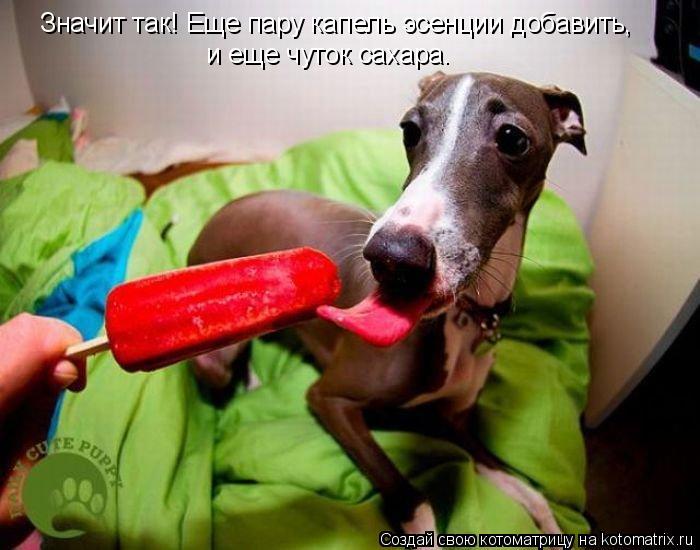 Значит так! Еще пару капель эсенции добавить, и еще чуток сахара.... Котоматрица: Значит так! Еще пару капель эсенции добавить, и еще чуток сахара.