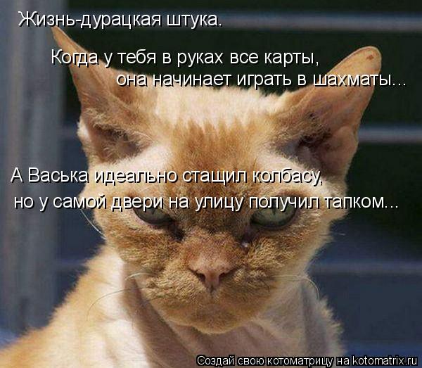 Жизнь-дурацкая штука. Когда у тебя в руках все карты, она начинает играть в шахматы... А Васька идеа... Котоматрица: Жизнь-дурацкая штука. Когда у тебя в руках все карты, она начинает играть в шахматы... А Васька идеально стащил колбасу, но у самой двери на у