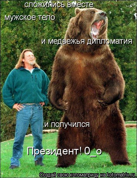 сложились вместе мужское тело и медвежья дипломатия и получился Президент! 0_о... Котоматрица: сложились вместе мужское тело и медвежья дипломатия и получился Президент! 0_о