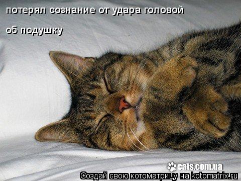 потерял сознание от удара головой об подушку... Котоматрица: потерял сознание от удара головой об подушку