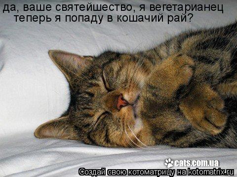 да, ваше святейшество, я вегетарианец теперь я попаду в кошачий рай?... Котоматрица: да, ваше святейшество, я вегетарианец теперь я попаду в кошачий рай?