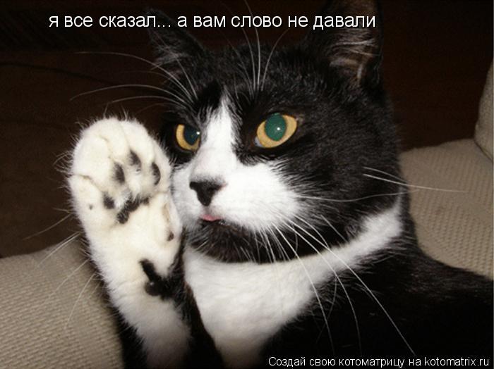 я все сказал... а вам слово не давали... Котоматрица: я все сказал... а вам слово не давали