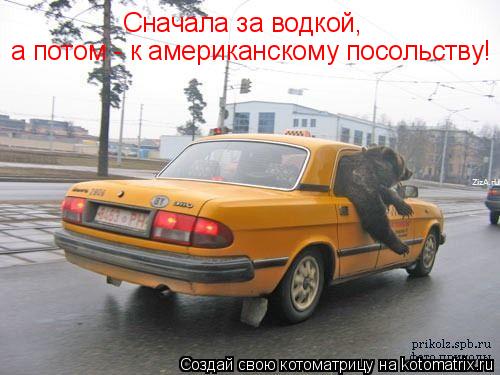Сначала за водкой, а потом - к американскому посольству!... Котоматрица: Сначала за водкой, а потом - к американскому посольству!