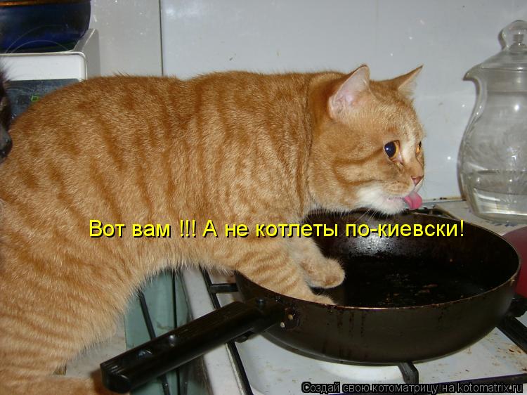 Вот вам !!! А не котлеты по-киевски!... Котоматрица: Вот вам !!! А не котлеты по-киевски!