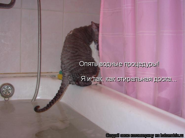 Опять водные процедуры! Я и так, как стиральная доска...... Котоматрица: Опять водные процедуры! Я и так, как стиральная доска...