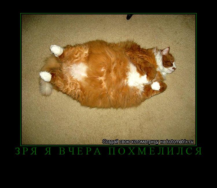 зря я вчера похмелился ... Котоматрица: зря я вчера похмелился