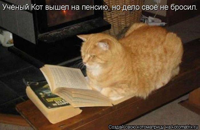 Учёный Кот вышел на пенсию, но дело своё не бросил.... Котоматрица: Учёный Кот вышел на пенсию, но дело своё не бросил.