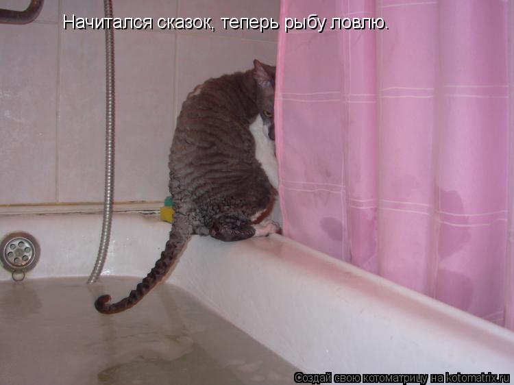 Начитался сказок, теперь рыбу ловлю.... Котоматрица: Начитался сказок, теперь рыбу ловлю.