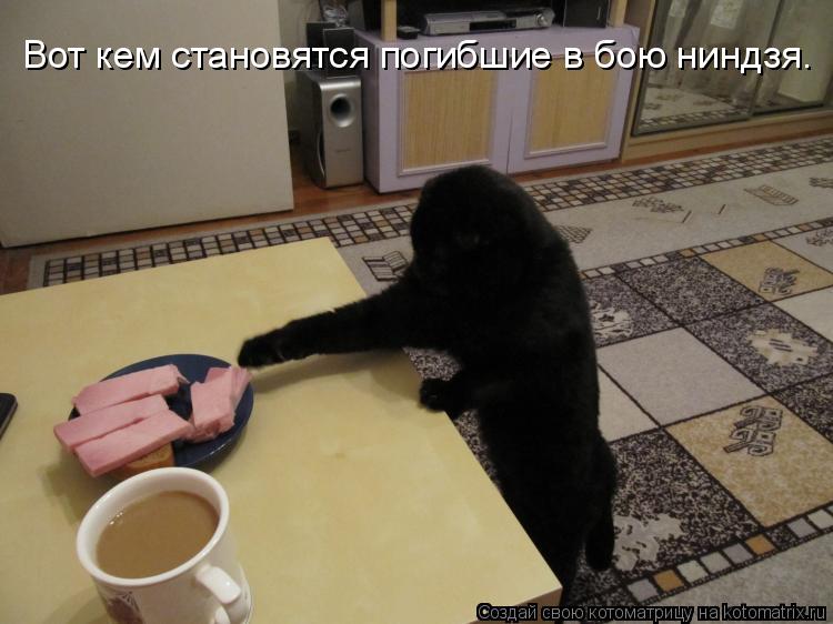 Вот кем становятся погибшие в бою ниндзя.... Котоматрица: Вот кем становятся погибшие в бою ниндзя.