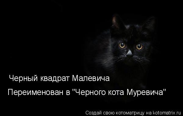 Черный квадрат Малевича Переименован в "Черного кота Муревича"... Котоматрица: Черный квадрат Малевича Переименован в "Черного кота Муревича"