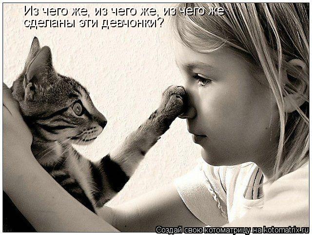 Из чего же, из чего же, из чего же сделаны эти девчонки?... Котоматрица: Из чего же, из чего же, из чего же сделаны эти девчонки?