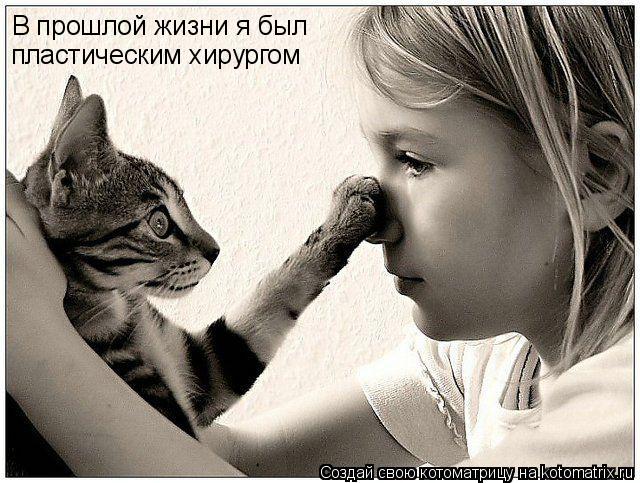 В прошлой жизни я был пластическим хирургом... Котоматрица: В прошлой жизни я был пластическим хирургом