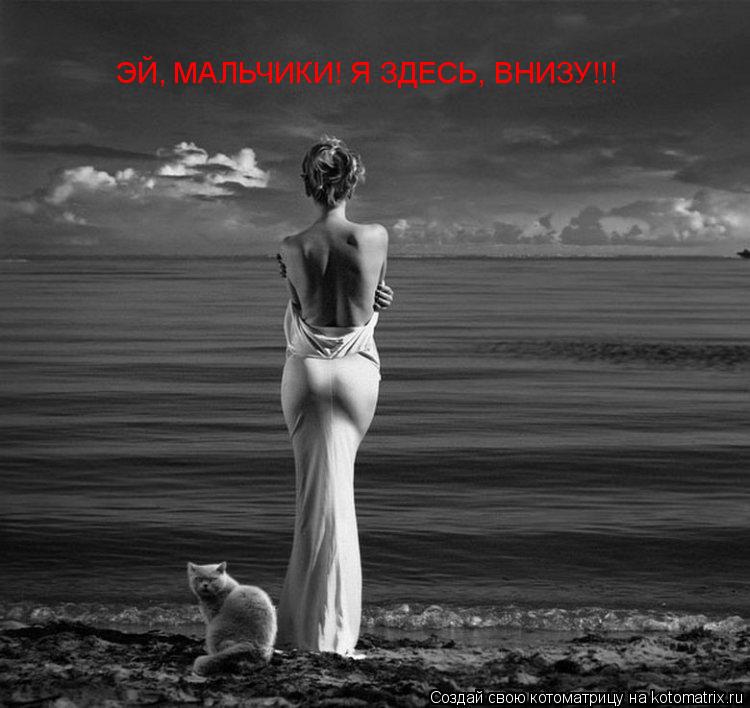 ЭЙ, МАЛЬЧИКИ! Я ЗДЕСЬ, ВНИЗУ!!!... Котоматрица: ЭЙ, МАЛЬЧИКИ! Я ЗДЕСЬ, ВНИЗУ!!!