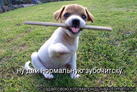 ну дай нормальную зубочитску..... Котоматрица: ну дай нормальную зубочитску..