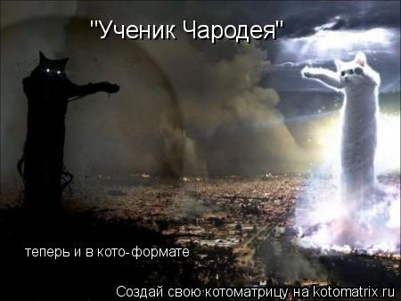 "Ученик Чародея" теперь и в кото-формате... Котоматрица: "Ученик Чародея" теперь и в кото-формате