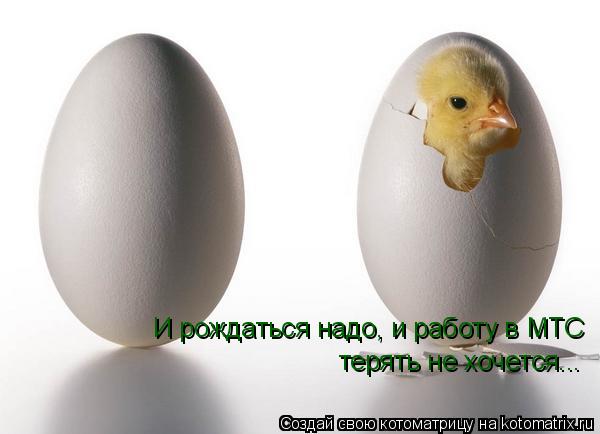 И рождаться надо, и работу в МТС терять не хочется...... Котоматрица: И рождаться надо, и работу в МТС терять не хочется...