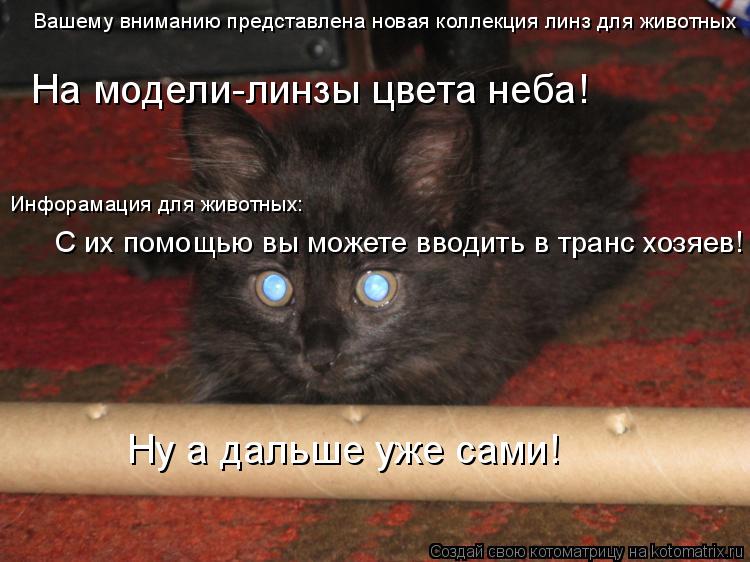Вашему вниманию представлена новая коллекция линз для животных На модели-линзы цвета неба! Инфорамаци... Котоматрица: Вашему вниманию представлена новая коллекция линз для животных На модели-линзы цвета неба! Инфорамация для животных: С их помощью вы может