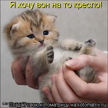 Я хочу вон на то кресло!... Котоматрица: Я хочу вон на то кресло!
