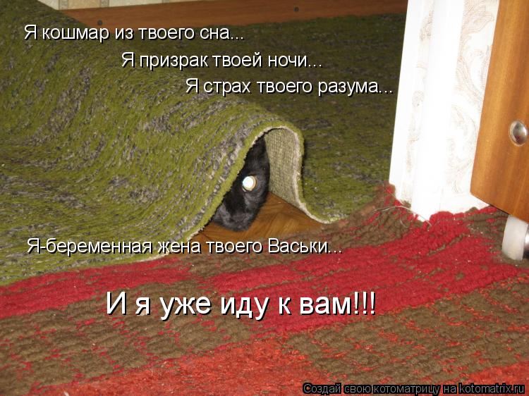 Я кошмар из твоего сна... Я призрак твоей ночи... Я страх твоего разума... Я-беременная жена твоего В... Котоматрица: Я кошмар из твоего сна... Я призрак твоей ночи... Я страх твоего разума... Я-беременная жена твоего Васьки... И я уже иду к вам!!!