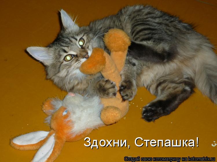 Здохни, Степашка!... Котоматрица: Здохни, Степашка!