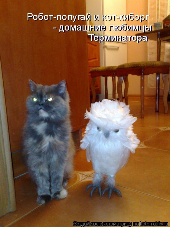 - домашние любимцы Терминатора Терминатора - домашние любимцы Робот-попугай и кот-киборг... Котоматрица: - домашние любимцы Терминатора Терминатора - домашние любимцы Робот-попугай и кот-киборг