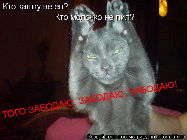 Кто кашку не ел? Кто молочко не пил? ТОГО ЗАБОДАЮ, ЗАБОДАЮ, ЗАБОДАЮ!... Котоматрица: Кто кашку не ел? Кто молочко не пил? ТОГО ЗАБОДАЮ, ЗАБОДАЮ, ЗАБОДАЮ!