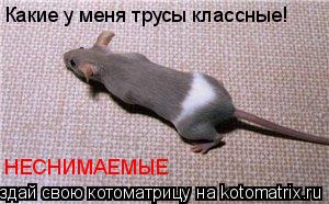 Какие у меня трусы классные! НЕСНИМАЕМЫЕ... Котоматрица: Какие у меня трусы классные! НЕСНИМАЕМЫЕ