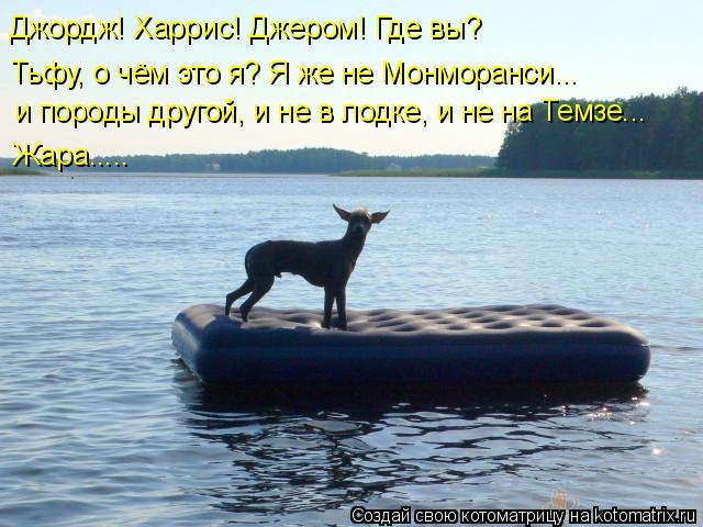 Джордж! Харрис! Джером! Где вы? Тьфу, о чём это я? Я же не Монморанси... и породы другой, и не в лодк... Котоматрица: Джордж! Харрис! Джером! Где вы? Тьфу, о чём это я? Я же не Монморанси... и породы другой, и не в лодке, и не на Темзе... Жара.....