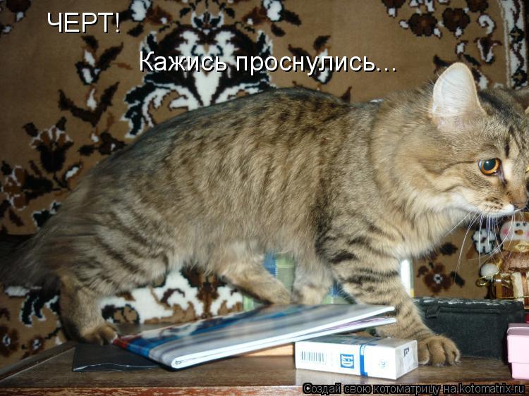ЧЕРТ! Кажись проснулись...... Котоматрица: ЧЕРТ! Кажись проснулись...
