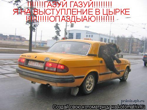 Котоматрица: !!!!!!!ГАЗУЙ ГАЗУЙ!!!!!!!! Я НА ВЫСТУПЛЕНИЕ В ЦЫРКЕ !!!!!!!!!!ОПАЗДЫАЮ!!!!!!!!