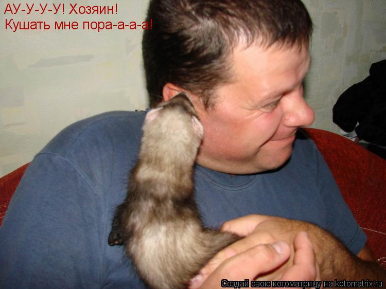Котоматрица: Кушать мне пора-а-а-а! АУ-У-У-У! Хозяин!