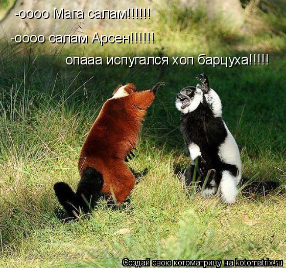 -оооо Мага салам!!!!!! -оооо салам Арсен!!!!!! опааа испугался хоп барцуха!!!!!... Котоматрица: -оооо Мага салам!!!!!! -оооо салам Арсен!!!!!! опааа испугался хоп барцуха!!!!!