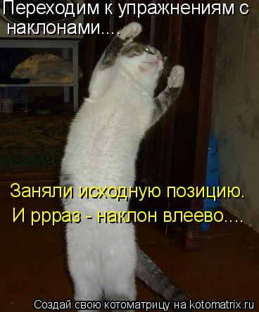 Переходим к упражнениям с наклонами.... Заняли исходную позицию. И ррраз - наклон влеево....... Котоматрица: Переходим к упражнениям с наклонами.... Заняли исходную позицию. И ррраз - наклон влеево....