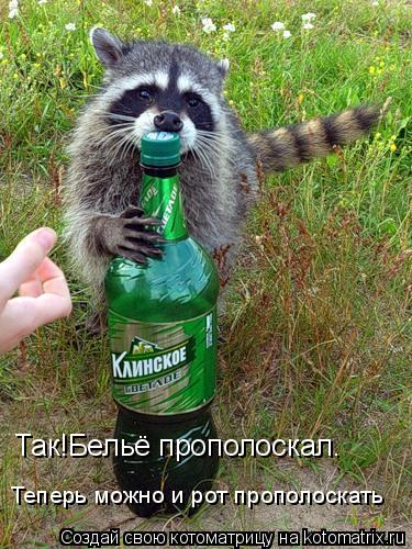Так!Бельё прополоскал. Теперь можно и рот прополоскать... Котоматрица: Так!Бельё прополоскал. Теперь можно и рот прополоскать