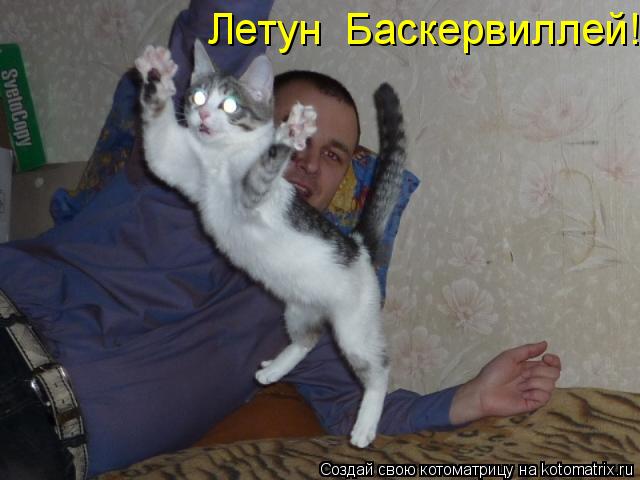 Летун Баскервиллей!... Котоматрица: Летун Баскервиллей!
