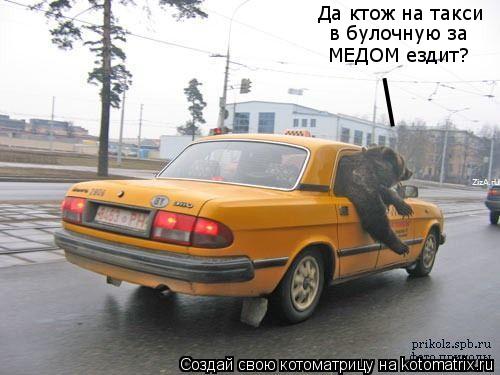 Да ктож на такси в булочную за МЕДОМ ездит? _... Котоматрица: Да ктож на такси в булочную за МЕДОМ ездит? _