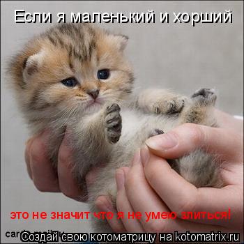 Если я маленький и хорший это не значит что я не умею злиться!... Котоматрица: Если я маленький и хорший это не значит что я не умею злиться!