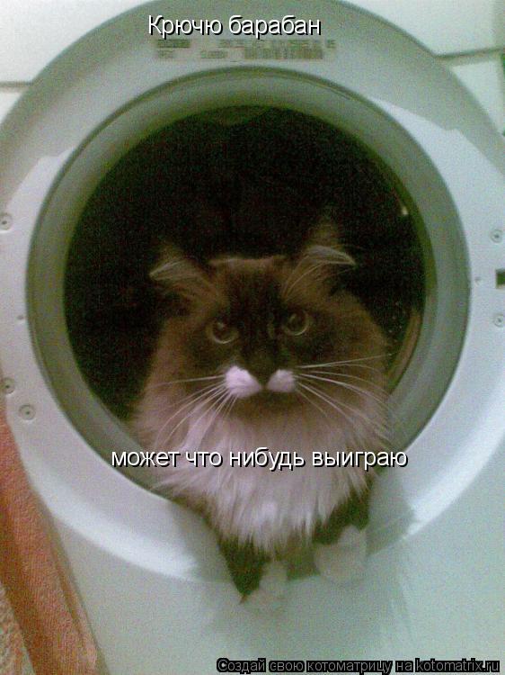 Крючю барабан может что нибудь выиграю... Котоматрица: Крючю барабан может что нибудь выиграю