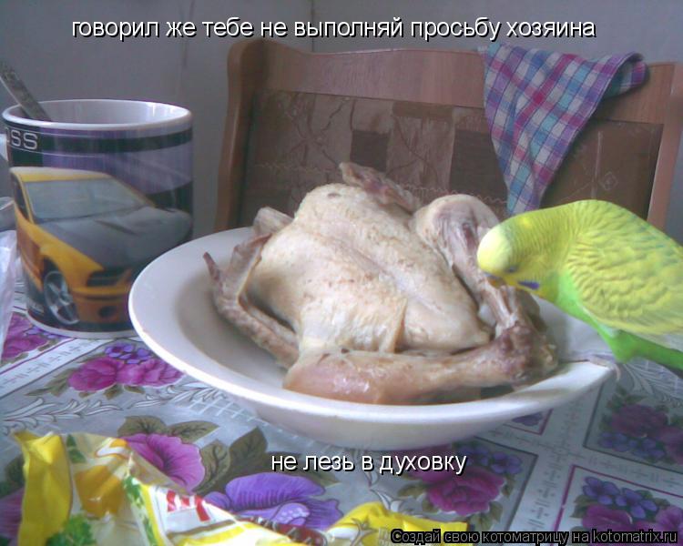 говорил же тебе не выполняй просьбу хозяина не лезь в духовку... Котоматрица: говорил же тебе не выполняй просьбу хозяина не лезь в духовку