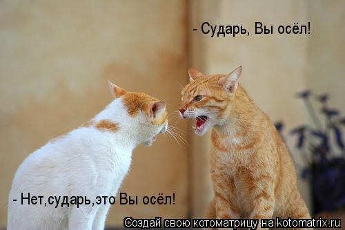 - Сударь, Вы осёл! - Нет,сударь,это Вы осёл!... Котоматрица: - Сударь, Вы осёл! - Нет,сударь,это Вы осёл!