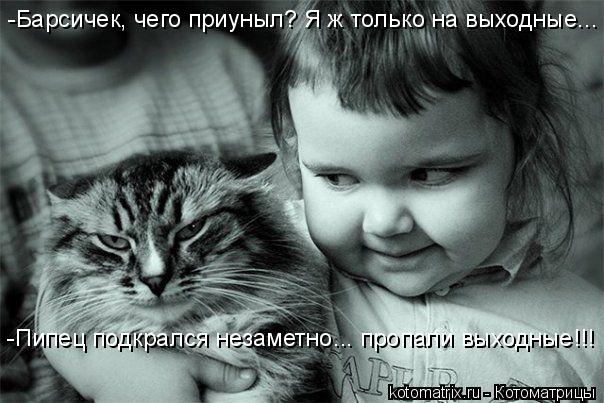 -Барсичек, чего приуныл? Я ж только на выходные... -Пипец подкрался незаметно... пропали выходные!!!... Котоматрица: -Барсичек, чего приуныл? Я ж только на выходные... -Пипец подкрался незаметно... пропали выходные!!!