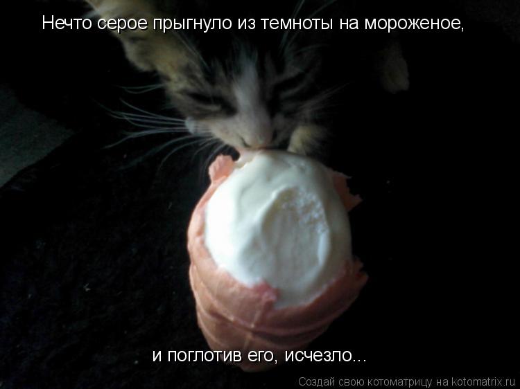 Нечто серое прыгнуло из темноты на мороженое, и поглотив его, исчезло...... Котоматрица: Нечто серое прыгнуло из темноты на мороженое, и поглотив его, исчезло...