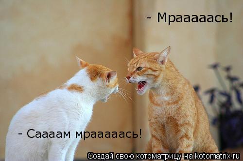 - Мрааааась! - Саааам мрааааась!... Котоматрица: - Мрааааась! - Саааам мрааааась!