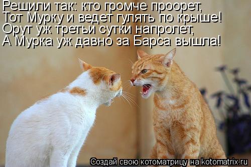 Решили так: кто громче проорет, Тот Мурку и ведет гулять по крыше! Орут уж третьи сутки напролет, А М... Котоматрица: Решили так: кто громче проорет, Тот Мурку и ведет гулять по крыше! Орут уж третьи сутки напролет, А Мурка уж давно за Барса вышла!