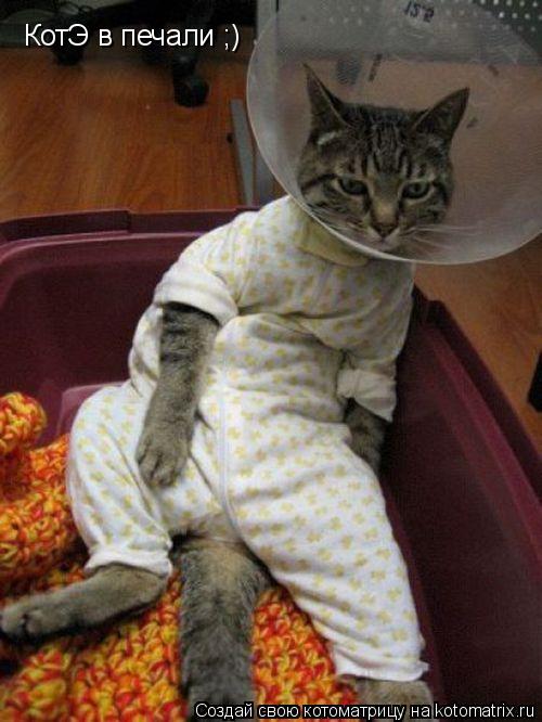 КотЭ в печали ;)... Котоматрица: КотЭ в печали ;)