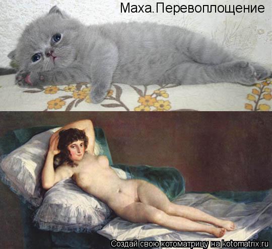 Маха.Перевоплощение... Котоматрица: Маха.Перевоплощение