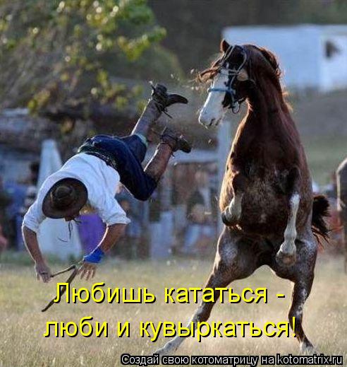 Любишь кататься - люби и кувыркаться!... Котоматрица: Любишь кататься - люби и кувыркаться!